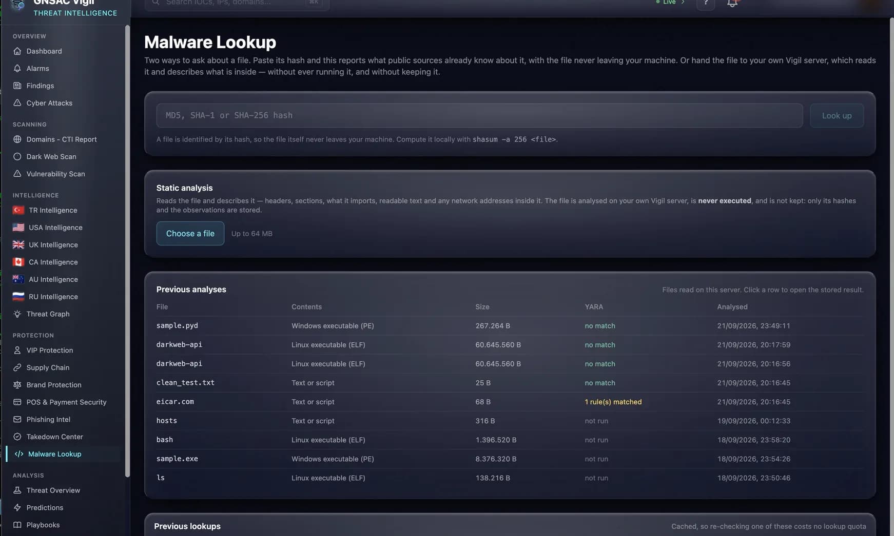 Malware Lookup — statik analiz görünümü
